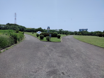 さくら草公園1.jpg