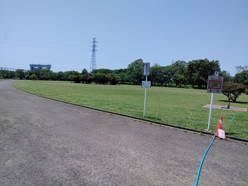 さくら草公園2.jpg