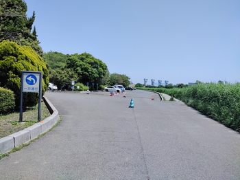 さくら草公園3.jpg