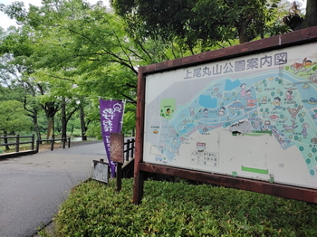 上尾丸山公園1.jpg