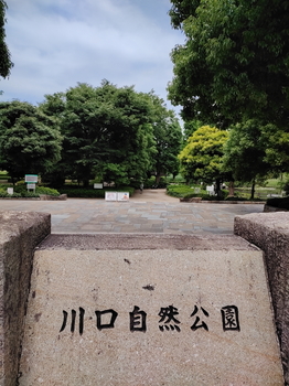 川口自然公園1.jpg