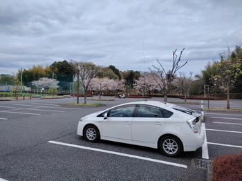 秋葉の森総合公園.jpg